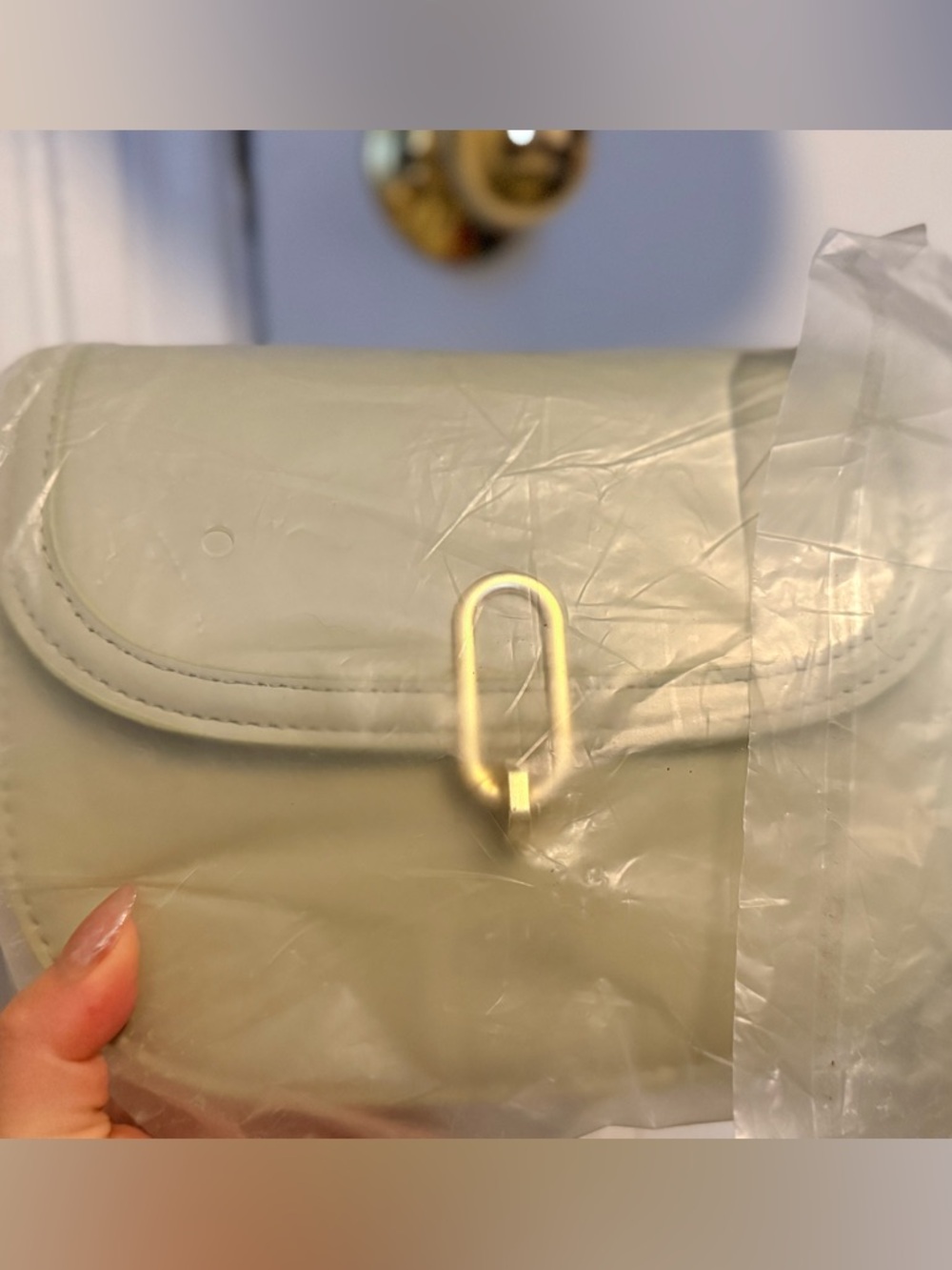 Women's light green Crossbody Bag with Gold Hardware
